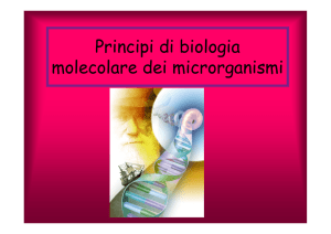 Principi di biologia molecolare dei microrganismi