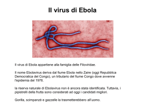 Intervento prof. Caruso "Il virus di Ebola"