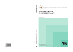 escherichia coli - Fondazione iniziative Zooprofilattiche e Zootecniche