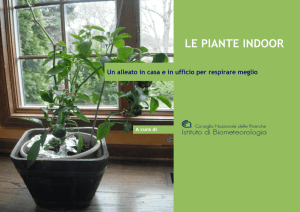 Le piante indoor - Comune di Bologna