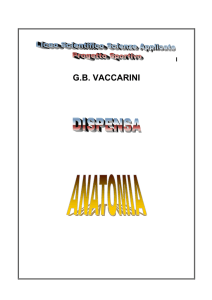 Anatomia - GB Vaccarini
