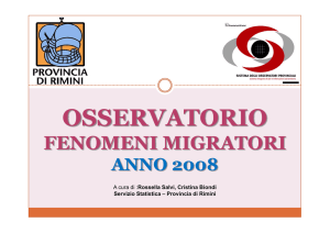 il report 2008 - Provincia di Rimini