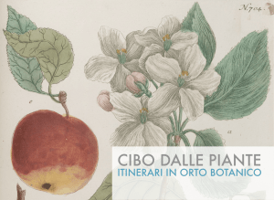 cibo dalle piante