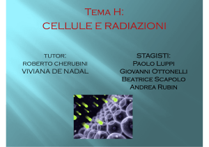 Tema H: CELLULE E RADIAZIONI - INFN-LNL