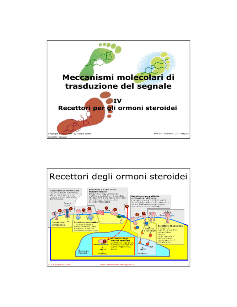 14 giorni per una migliore trenbolone