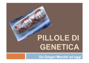 Genetica - Istituto San Giuseppe Lugo