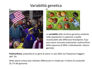 VariabilitÃ genetica