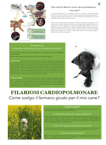 Poster Filaria - Ospedale Veterinario San Francesco