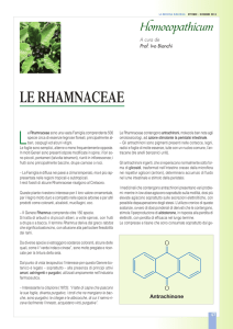 Homoeopathicum - Le Rhamnaceae