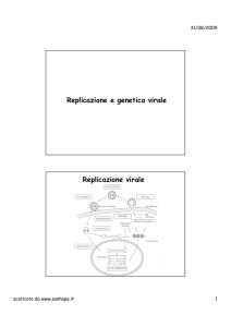 Replicazione e Genetica virale