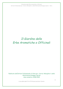 Il Giardino Delle Erbe Aromatiche PDF 6MB