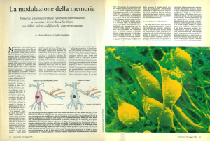 La modulazione della memoria