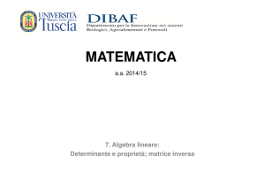 Algebra lineare (II parte): proprietà determinanti, matrice