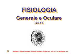 Fis Gen Oculare 05
