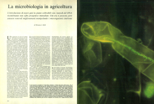 La microbiologia in agricoltura