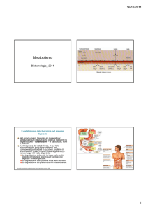 Alcuni slides mostrati a lezione sul metabolismo e cofattori Three