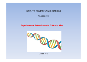 Esperimento: Estrazione del DNA dal Kiwi ISTITUTO