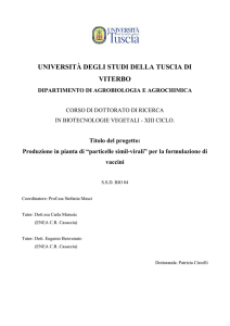 università degli studi della tuscia di viterbo