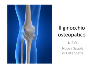 Il piede osteopatico - Nuova Scuola di Osteopatia Treviso