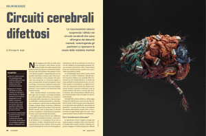 difettosi Le neuroscienze stanno scoprendo i difetti nei