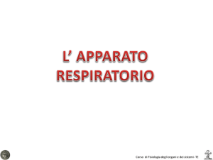 11-respiratorio I File