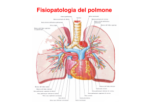 Fisiopatologia polmonare