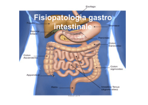 Fisiopatologia gastrointestinale