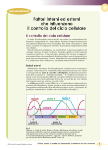 file  - Istituto Italiano Edizioni Atlas