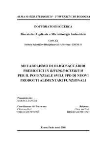 metabolismo di oligosaccaridi prebiotici in