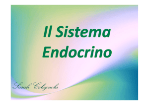 sistema Endocrino(colognola)