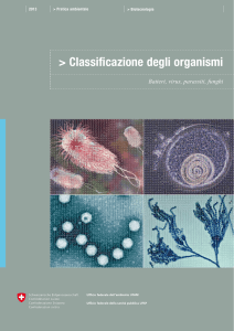 Classificazione degli organismi. Batteri, virus, parassiti, funghi