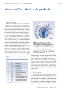 Influenza A H1N1: dal virus alla pandemia