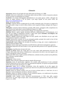 Glossario - Regione Piemonte