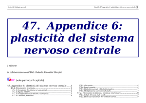 Plasticità del sistema nervoso centrale