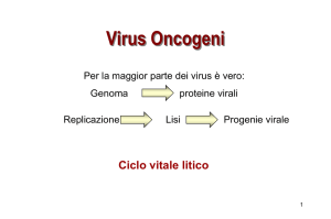 Virus oncogeni.
