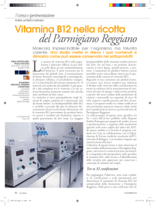 Vitamina B12 nella ricotta del Parmigiano
