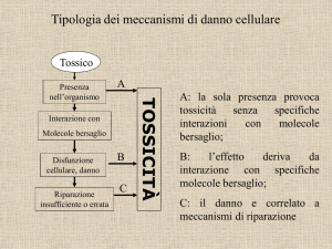 Meccanismi d`azione