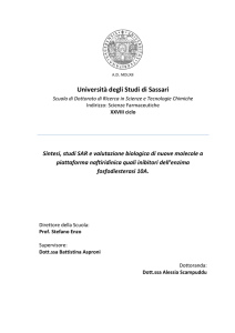 Sintesi, studi SAR e valutazione biologica di nuove molecole a