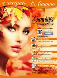 Autunno 2014 - Bardin Garden Store