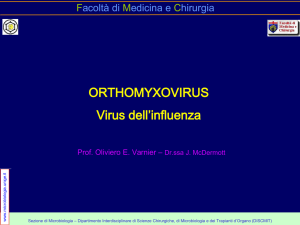 VIRUS DELL`INFLUENZA - Sezione di Microbiologia