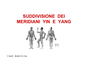 Suddivisione Meridiani Yin-Yang