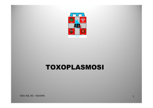 toxoplasmosi