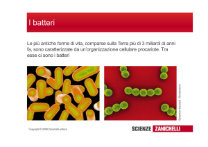 I batteri - Scuole Pie Fiorentine