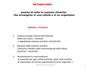 Diapositiva 1 - Collegio Alessandro Volta