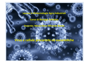 2014.5.virus, euc, proc - Dipartimento di Biologia e