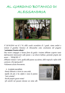 Giardino Botanico - Scuola Angelo Custode Alessandria