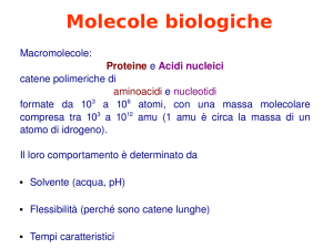 Molecole biologiche