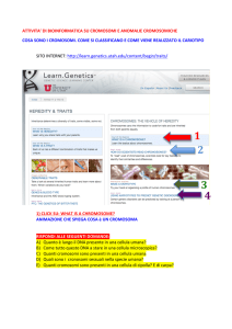 ATTIVITA` DI BIOINFORMATICA SU CROMOSOMI E ANOMALIE