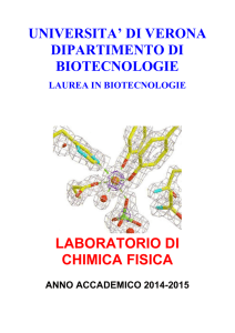 pdf (it, 413 KB, 4/29/15) - Dipartimento di Biotecnologie