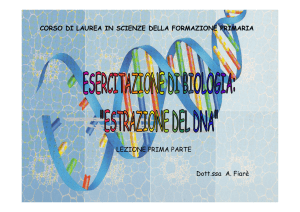 IL DNA lezione parte 1